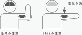 Normal exercise, EMS exercise illust images