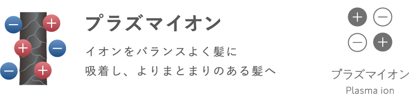 プラズマイオン