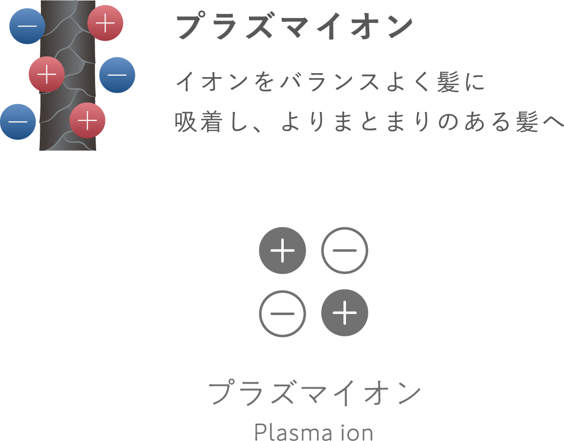 プラズマイオン