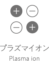 プラズマイオン