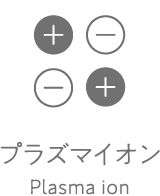 プラズマイオン