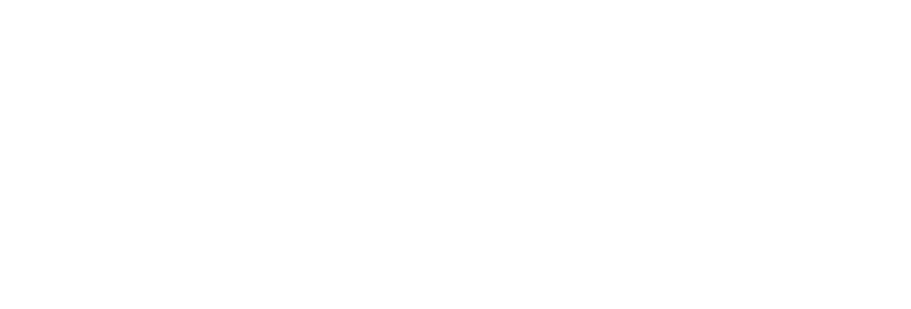 Angelique Pro プロフェッショナルヘアードライヤー MXDR-P1000