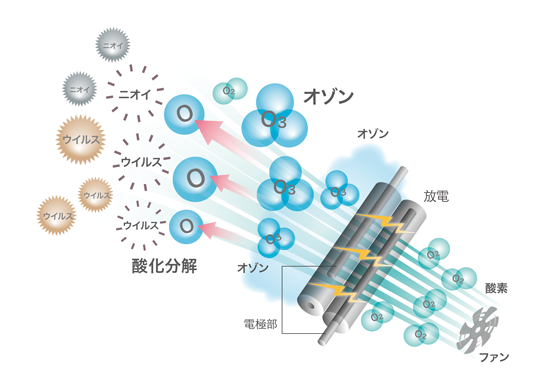 オゾン風の発生概念図