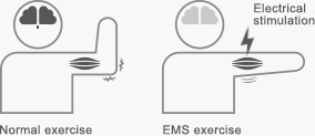 Normal exercise, EMS exercise illust images